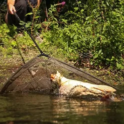 Fox Horizon X4 Unterfangkescher -Fox Verkaufs-Shop fox horizon x3 42 landing net 6 2.jpg