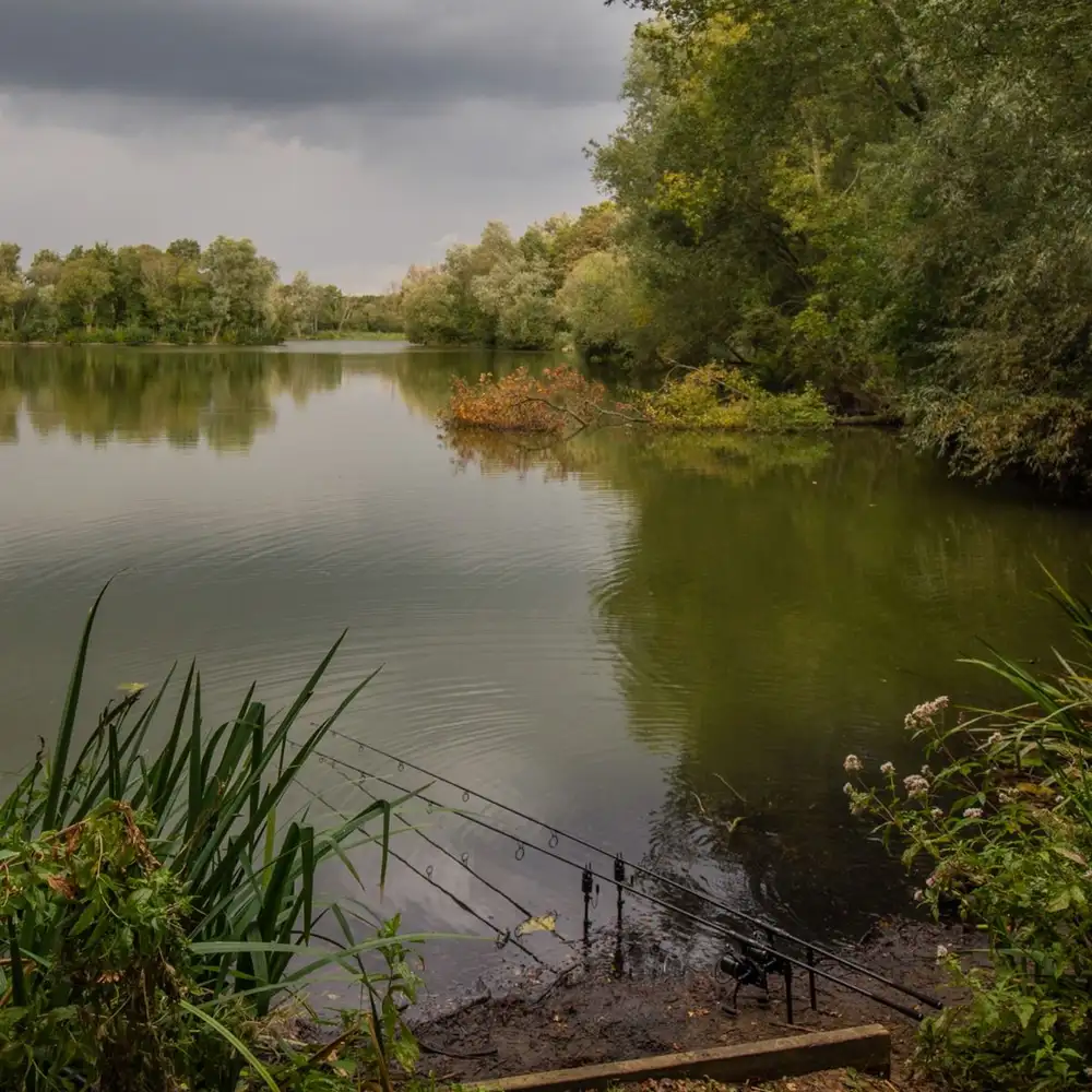 Fox Horizon X4 Rute, Abbreviated Fox Horizon X4 Rute, Abbreviated -Fox Verkaufs-Shop